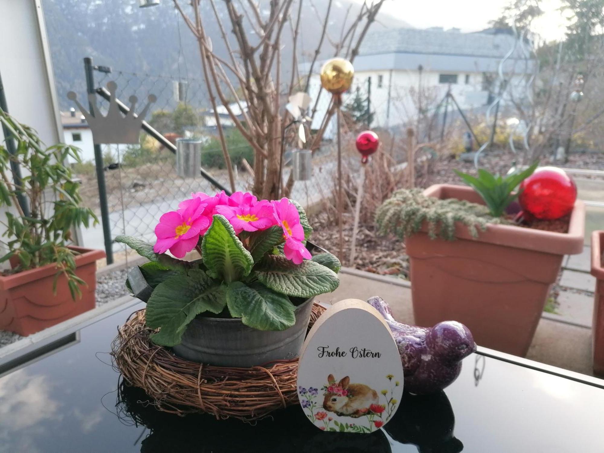 伊姆斯特#Heimatliebe公寓 外观 照片